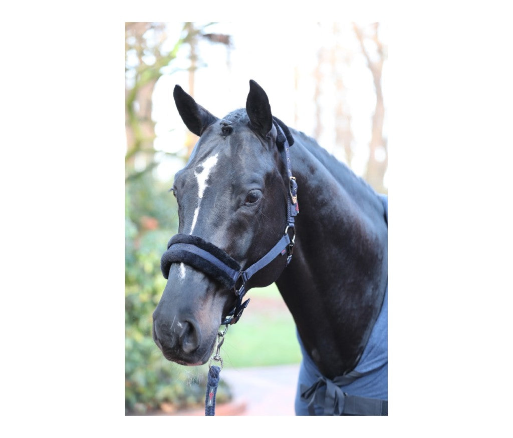 Kantar dla konia granatowy Covalliero Jesień - Zima 2021 Cob - Cavalo